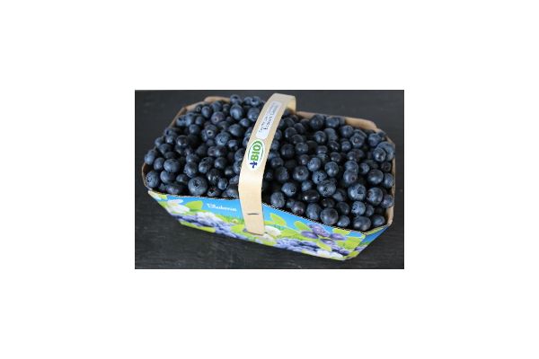 Bleuets frais panier de 2 litre -champs Valoy 