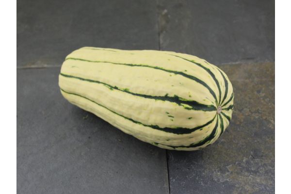 Courge délicata 3 lbs - Ferme le Goglu 