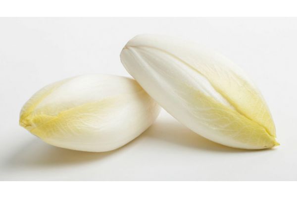 Endive Biologique 300 gr. - Laverdure