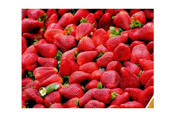 Fraises congelées bio 300 gr Vallée des prairies