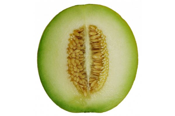 Melon miel bio environ 3.5lbs Herboristerie La Maria 