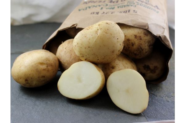 Pommes de terre russet biologiques - 5 lbs 