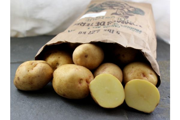 Pommes de terre jaunes biologiques 5 lbs - Jardins de Lauzeraie 