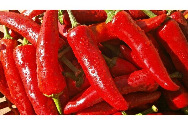 Paprika entier séché bio Herboristerie La Maria 