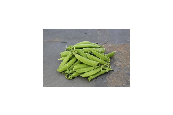 Pois mange-tout Manche de pelle 1/2lb 