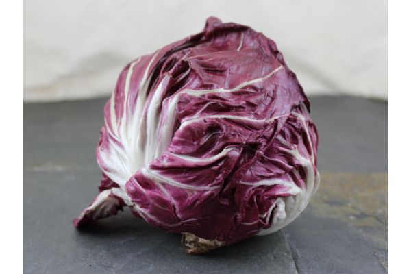 Radicchio bio La Ferme des Pensées Sauvages 