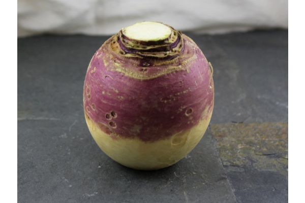 Rutabaga biologique déclassé 5 lbs - Vallée